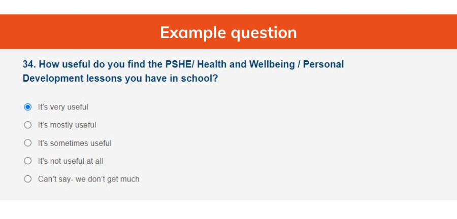 Survey Question Example